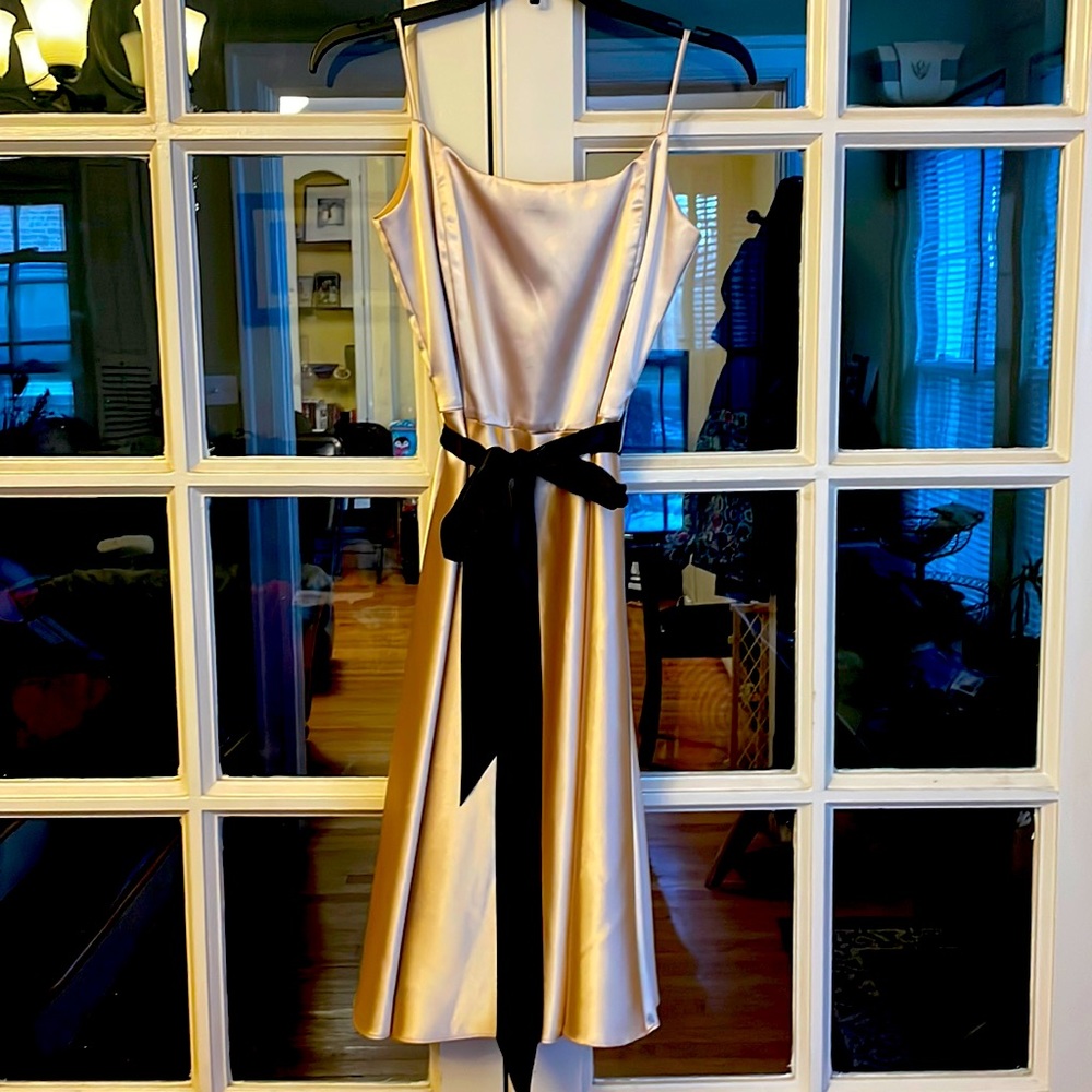 Gold with black satin dress. It is a Jessica Howard size 8